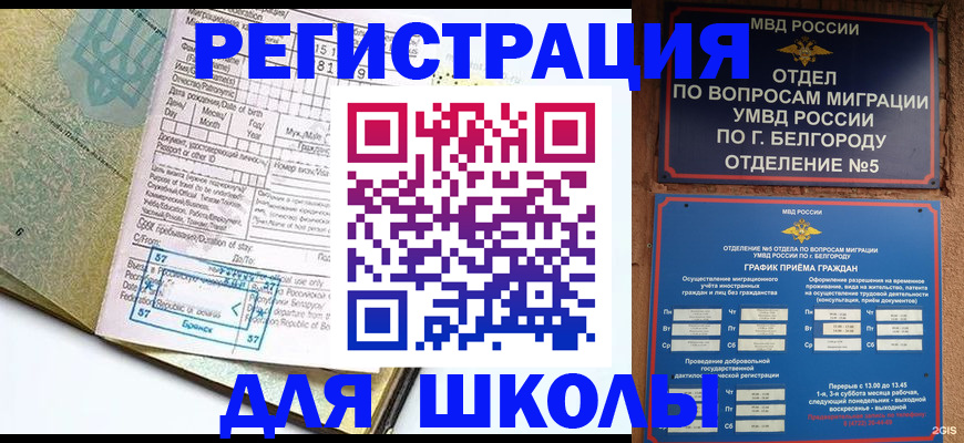 временная регистрация для всех в Жуковском